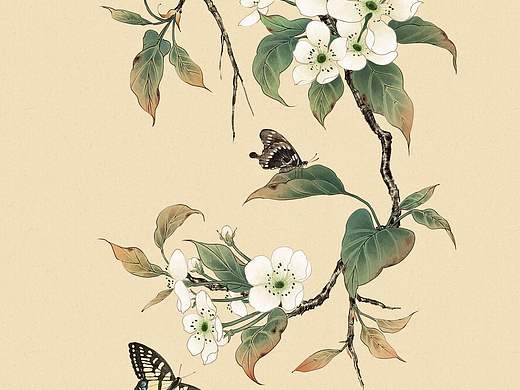 遇见梨花（个人主页-ZNTY4MzA3NjQ=） - 创作习作 - 站酷设计师画画的凉拌折耳根原创素材 - 站酷ZCOOL