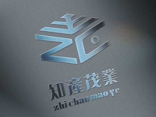 知识产权LOGO设计——知产茂业