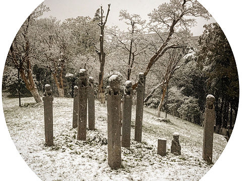 这跟潘金莲无关