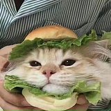 LJason_的头像
