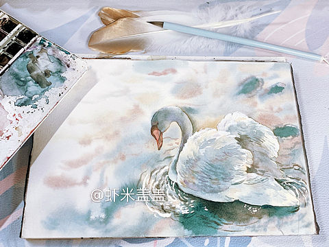 两张水彩天鹅插画