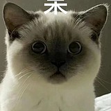 冷宫的痱子的头像