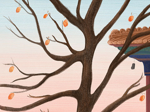 persimmon