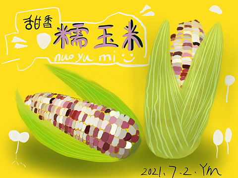 商业插画糯玉米