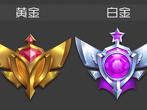 项目图标