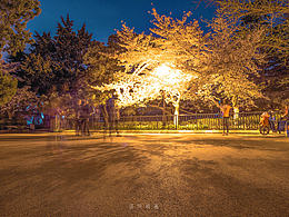 油画风景