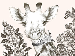 长颈鹿小姐（个人主页-ZMzU4ODc3Ng==） - 商业插画 - 站酷设计师tabby原创素材 - 站酷ZCOOL