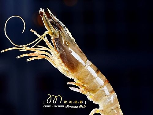 《偶8韩式烤肉》——哈尔滨雷鸣摄影， 商业 | 产品 | 美食 | 广告摄影
