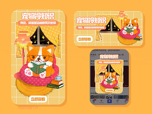 宠物冷知识 banner 弹窗 开屏设计