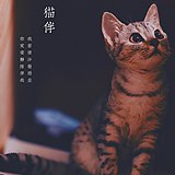 三叔Y的头像