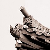张耳东的头像