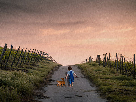 回家路上（个人主页-ZMjE5MTc2NzY=） - 其他平面 - 站酷设计师Ocereus原创素材 - 站酷ZCOOL