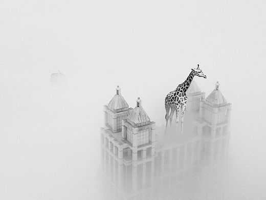 霾（个人主页-ZMTQwMjQ0MDg=） - 修图/后期 - 站酷设计师嘉心小姐原创素材 - 站酷ZCOOL