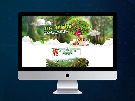 我有一棵荔枝树理财专题页面