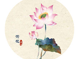 荷花