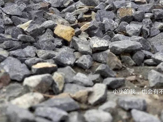 摄影