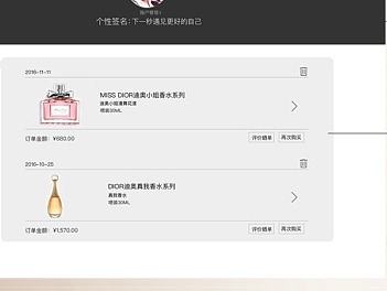 Dior iPad端界面