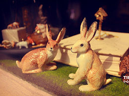 田子坊 · 小心情