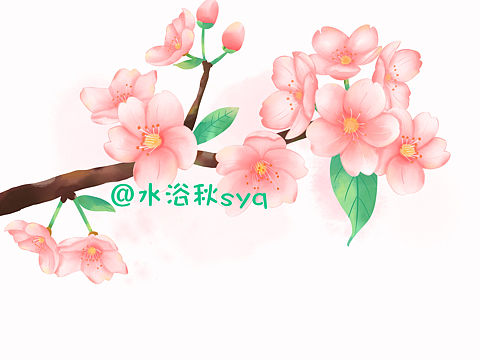 原创iPad水彩樱花，图片已商用