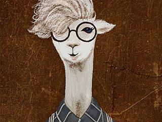 穿衣服的朋友们系列——穿衣服的羊驼