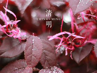 2015 - 清明 