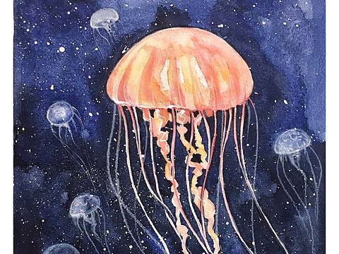 【水彩过程】水母君