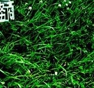 澳品匯（個(gè)人主頁(yè)-ZMTQxMTM5MzY=） - 其他平面 - 站酷設(shè)計(jì)師saifei789142原創(chuàng)素材 - 站酷ZCOOL