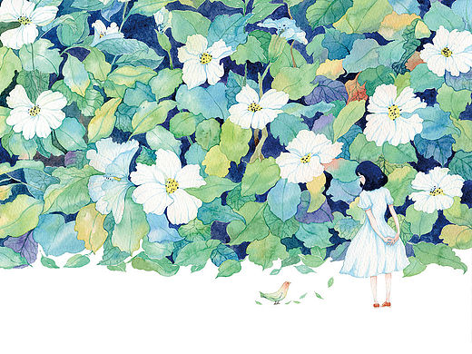 花，时间