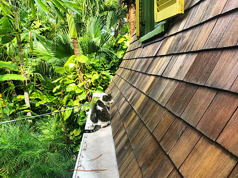 美国迈阿密key west