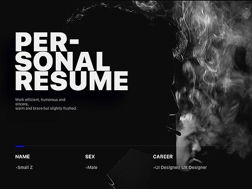 小Z 求职(平板展示)