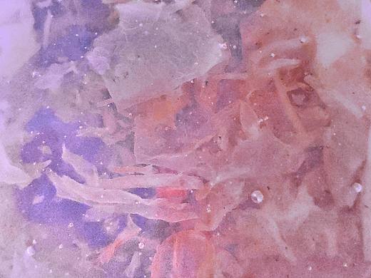 我也曾窥探过宇宙