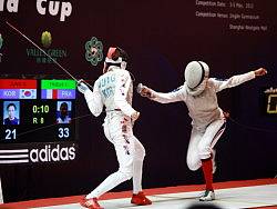 击剑Fencing，曾经的职业