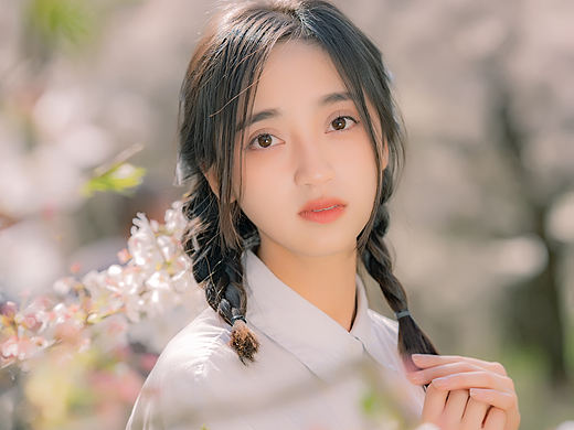 站在樱花下的少女