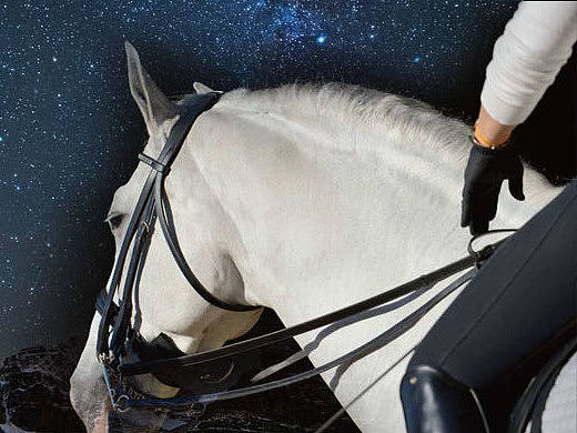 和马乐（个人主页-ZMjE1MTcxNTI=） - 图标 - 站酷设计师DAVISWY原创素材 - 站酷ZCOOL