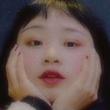 二肆er的头像