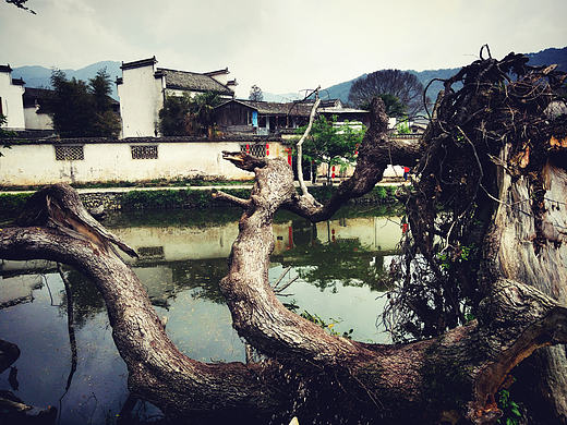 年少 宏村（個人主頁-ZMjI5NTk0Mjg=） - 風光攝影 - 站酷設(shè)計師零視創(chuàng)意工作室原創(chuàng)素材 - 站酷ZCOOL