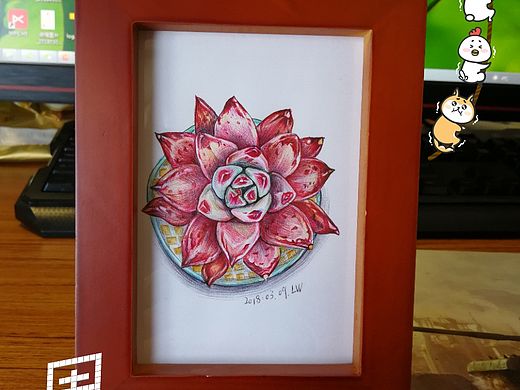 小多肉（個(gè)人主頁(yè)-ZMjY1Nzg1MzI=） - 繪畫(huà) - 站酷設(shè)計(jì)師每日一畫(huà)原創(chuàng)素材 - 站酷ZCOOL