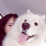 Woytey的头像