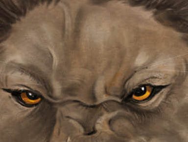 lion