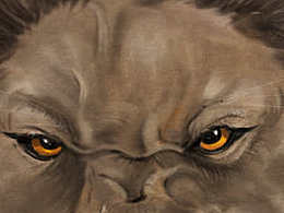 lion