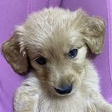 Anna楠的头像