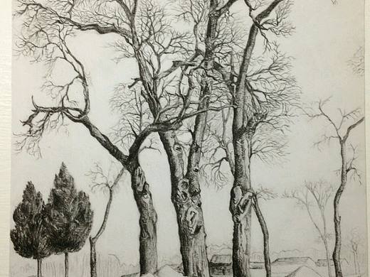 冬天的树（个人主页-ZMjAzMjEzMzY=） - 绘画 - 站酷设计师志洁行芳原创素材 - 站酷ZCOOL