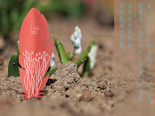 花卉种子概念性包装