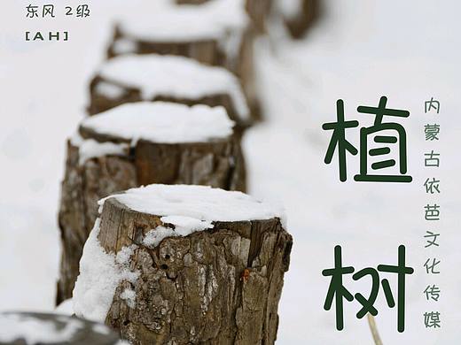 3.12植树节