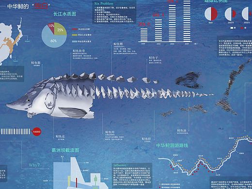 信息图形设计