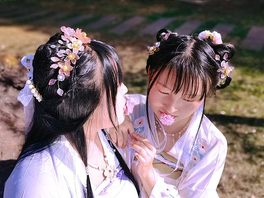 花與少女漢服寫真（個人主頁-ZNTkwMjQxMjg=） - 人像攝影 - 站酷設(shè)計師羅維依依原創(chuàng)素材 - 站酷ZCOOL