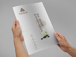 中国风文化画册