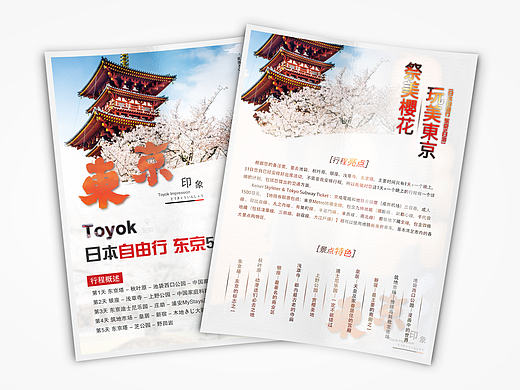 随手练习-东京旅游DM单