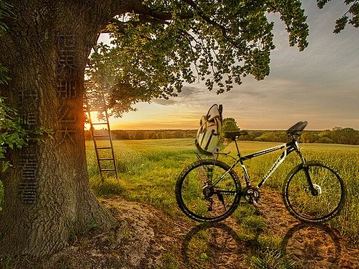 骑着单车,游遍中国