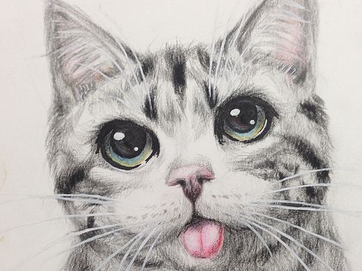 彩铅软萌猫